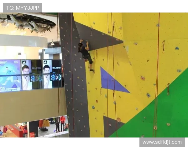 西安排球队的崛起之路与挑战解析